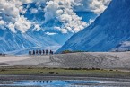 Nubra Valley Arrival and Sightseeing